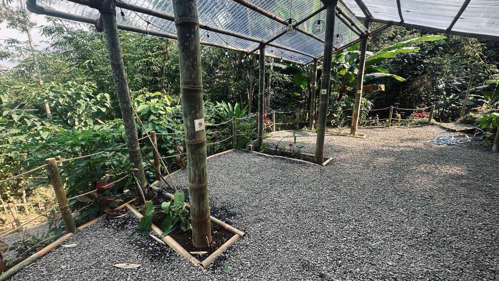 Bamboo structure with jungle garden