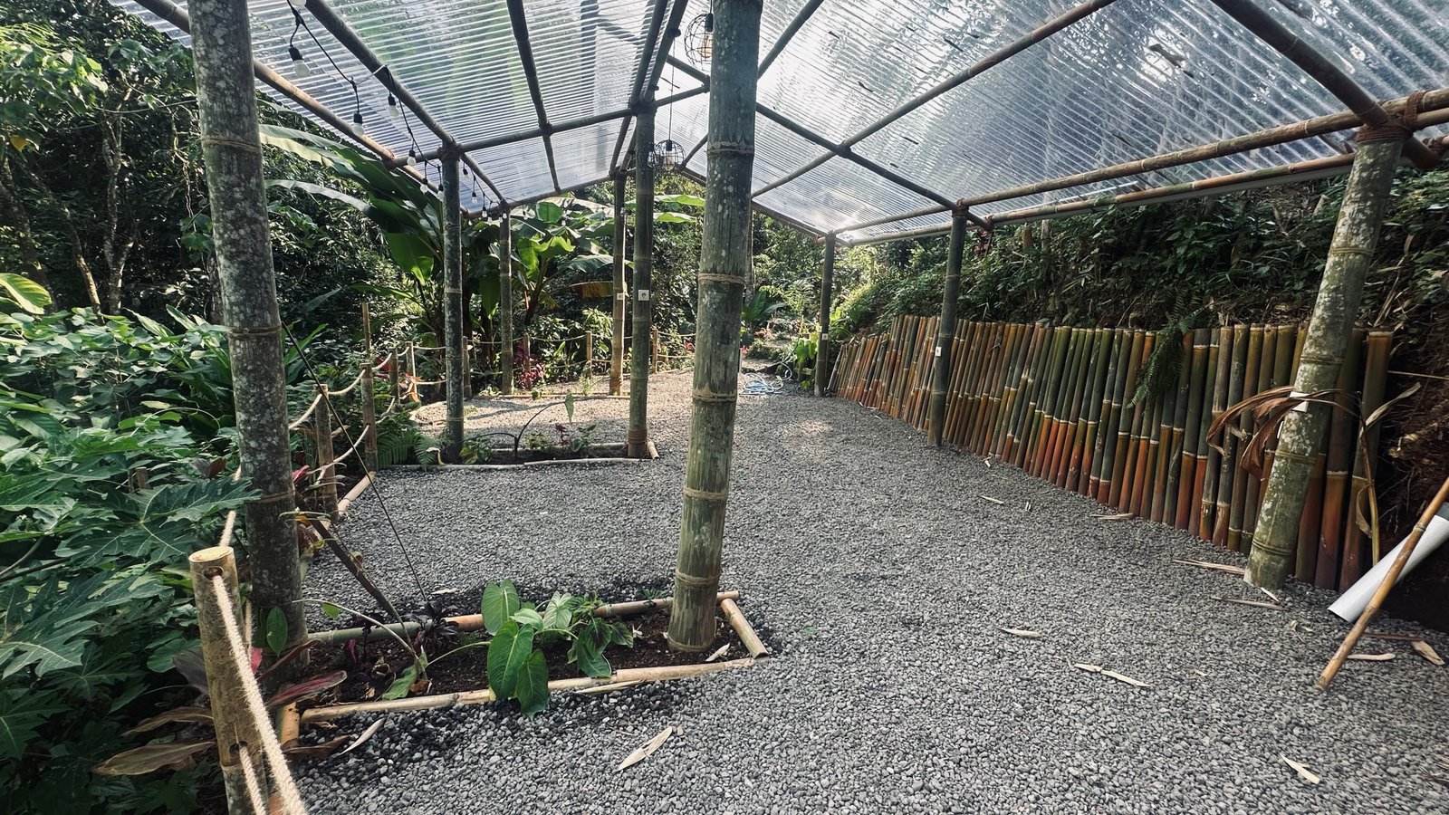 Cafe seating area overlooking the jungle